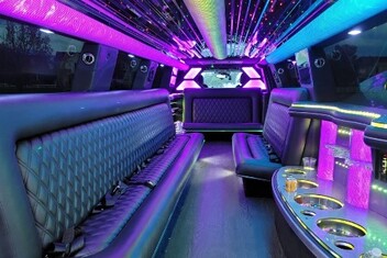 Lake Forest Limo Interior